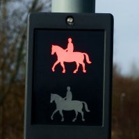 childsview (@childsview) Twitter profile photo