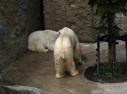 minminz0530's profile picture. 36歳営業マン。厳しい世の中ですがくよくよせずまったりと生きたいものですね。成功・失敗・面白ネタ・プチ日記アップします。/人生相談・結婚・離婚・セックスレス・転職・車・投資・営業・ニュービジネス・サイドビジネス・スキー・テニス・マリンスポーツ・新しい趣味・読書・ダイエット・禁煙・整体・資格・iphone・パソコン