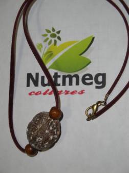 Usa el famoso collar antialérgico Nutmeg y combate tus alergias YA! Elige tu color y diseño para adultos y niños en nuestra web!! Revisa tu despacho Gratis!