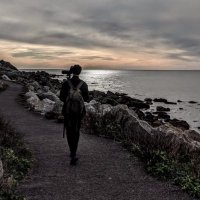 Oli Mockridge (@yeovilbirder) 's Twitter Profile