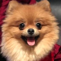 ABLAKWOKOU (@meholblack4) 's Twitter Profile