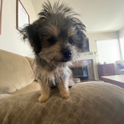 _abbeylynn's profile picture. livin’