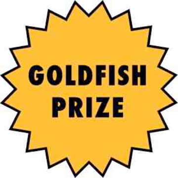 GoldfishPrize's profile picture. Music Publicity and Promotion. Artists include Dylan Connor, Cuddle Magic, Dayna Kurtz, Lee Feldman, Noam Weinstein and Jonathan Maron.