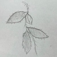 芋 (@imo_neo) 's Twitter Profile