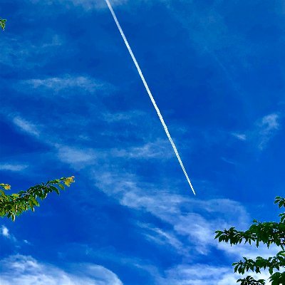 pony_2009's profile picture. 