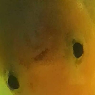 AKitchakan's profile picture. ครั้งนึงเคยเป็นคนดี​ ตอนนี้ก็ยังดีอยู่