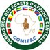 COMIFAC - Commission des Forêts d'Afrique Centrale (@comifacinfo) Twitter profile photo COMIFAC - Commission des Forêts d'Afrique Centrale (@comifacinfo) Twitter profile photo