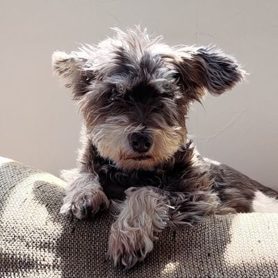 OU7seas's profile picture. 