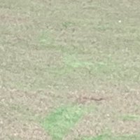 つ (@bvg8oy3r91rcvpv) Twitter profile photo