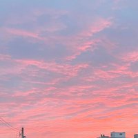 miki(*ˊᵕˋ*)੭ ੈ❤︎❤︎ 미키🌻 (@miki_ogen_0128) 's Twitter Profile