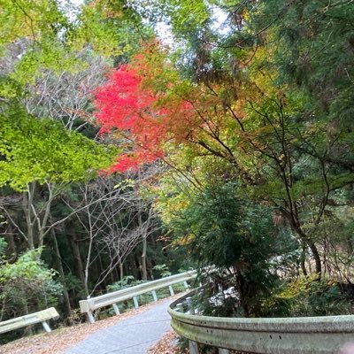 油揚げ(￣∀￣)さんのプロフィール画像