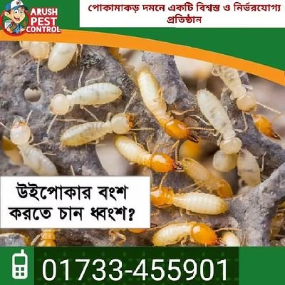 Pest control services