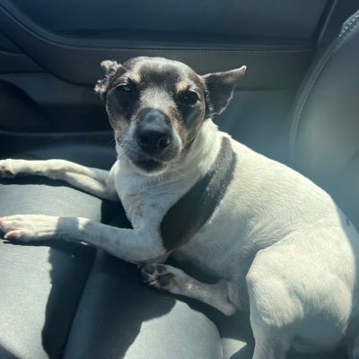 stepapp_FIFTI's profile picture. 