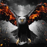 Reda Abdo (@redaabdo211074) 's Twitter Profile