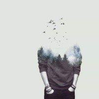 Mohamed Taher (@mohamed61225627) 's Twitter Profile