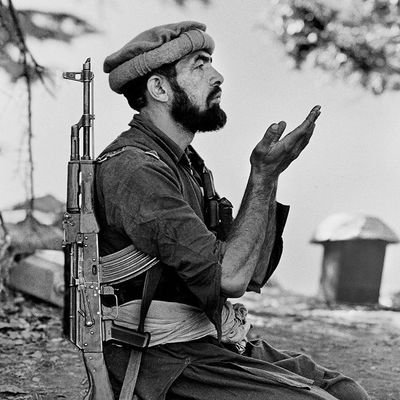 Comoseusaesto2's profile picture. 