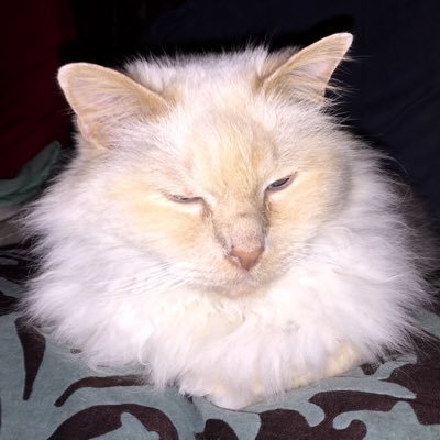 giblet1964's profile picture. 