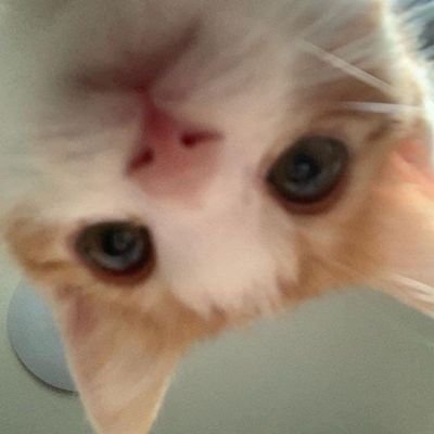 crystalsxnd's profile image