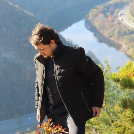 SebastianM829's profile picture. Finance 💰 - Crypto 📈 - Personal Growth 🧠