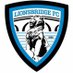 Lionsbridge FC (@lionsbridgefc) Twitter profile photo Lionsbridge FC (@lionsbridgefc) Twitter profile photo