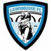 Lionsbridge FC (@LionsbridgeFC) Twitter profile photo