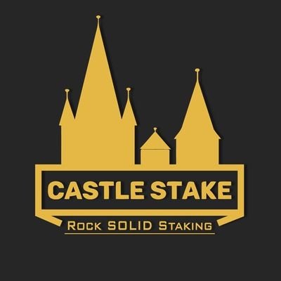 CastleStake Profile Picture