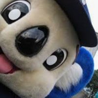 マサ (@5jbghdbej2eoclf) 's Twitter Profile
