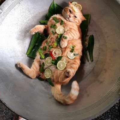 pararaepw's profile picture. 