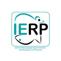 IERP_aqua(@IERP_aqua) 's Twitter Profile Photo