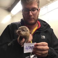 Alex Saliveros, PhD (@asaliveros) 's Twitter Profile