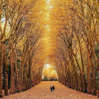 Bruse Lee (@brusele76933777) 's Twitter Profile