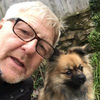 Mark Hanson (@markhanson456) 's Twitter Profile