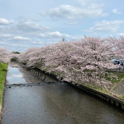 娘2人は空手女子。私はサンドバッグマンです。。 スニーカー好きだけど、あまり買えないので、みなさんの投稿を指くわえて見るのが趣味です。