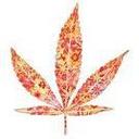 Kitty Miller - @Kit_Teas - Twitter