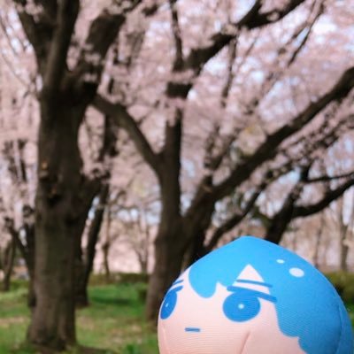 時雨さんのプロフィール画像