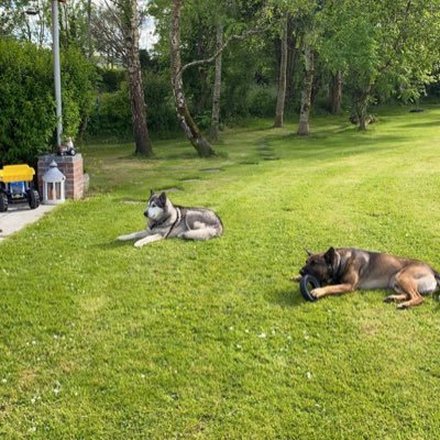 ThomasS37460740's profile picture. 