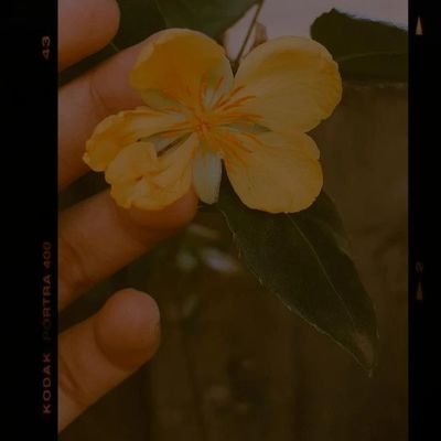 shtwrd's profile picture. https://t.co/NiWIfBTmyh