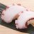takono_nigiri