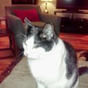 Jeff Gage - @JeffGage9 - Twitter