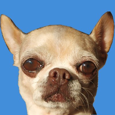 asfallart's profile picture. 