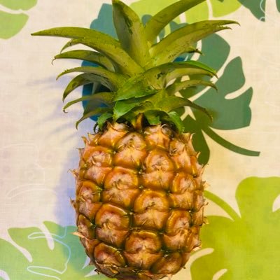 タコタルト Takotalt Twitter タコタルト Takotalt Twitter