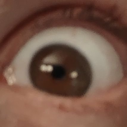 SomniferousGay's profile picture. 22NB goofy 'twink'

📍Minneapolis, MN -

I love bears, beefy folks and nature! 🐻 I also love anything science-related 🧪 CashApp: $pooptruffle