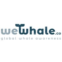 WeWhale (@wewhaleco) 's Twitter Profile Photo WeWhale (@wewhaleco) 's Twitter Profile Photo