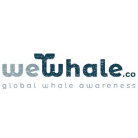 WeWhale(@WeWhaleCo) 's Twitter Profile Photo