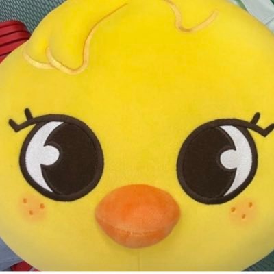skz_bbokarix's profile picture. 01〜02line 雑食ヲタクでやらせてもろてます 主食→SKZ🐥🐶 &TEAM🐱 BND🧀🐱 Kep1er🐿