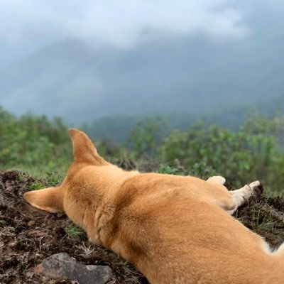 vdont_d's profile picture. 20