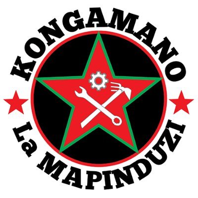 MapinduziKE Profile Picture