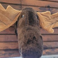 EnergyAbe (@abeenergy) 's Twitter Profile