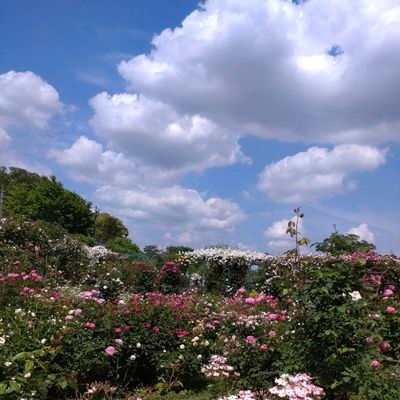 今、🇯🇵や🌍️の危機🚨の為、政治関係多し。子供や動物などの弱い者苛めも許せない。人間も自然の一部。政治的には中立。
鍵垢等基本🙅失礼な人、対立目的🙅
RT多め🙇#改憲反対 #日本人ファースト #Noワクチン #反グローバリズム #反NWO #児童虐待反対 #動物虐待反対 #5G反対 #脱プラ #食の安全