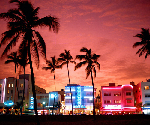 darealtanyan's profile picture. satisfied is never enough.......